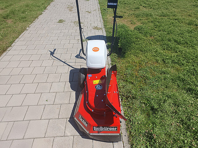 Wildkrautbürste
