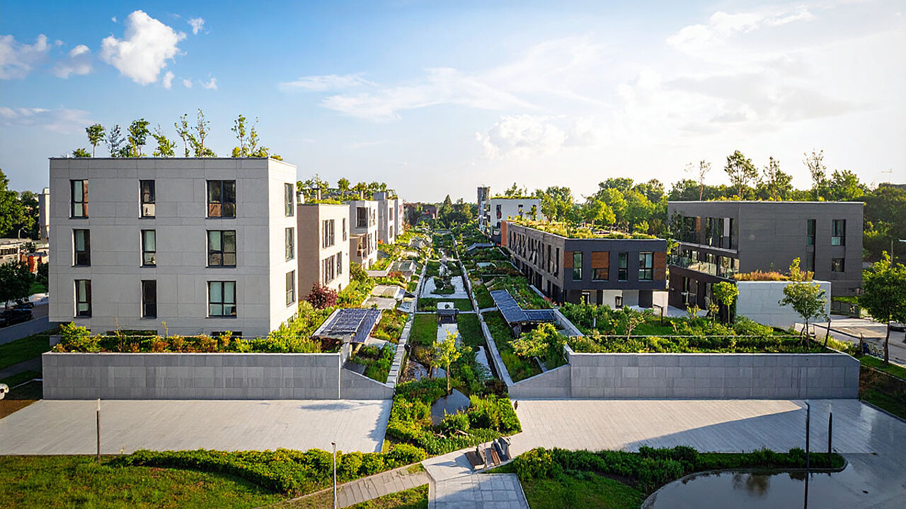 Schwammstadt